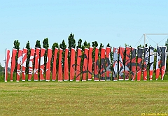 Venice kite festival_0219